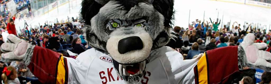 chicago mascot bookings