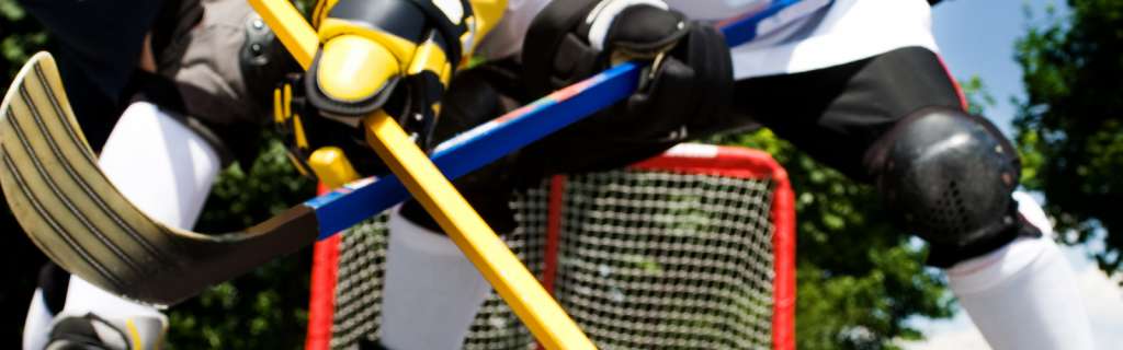 Chicago Wolves Shinny Hockey Jamboree