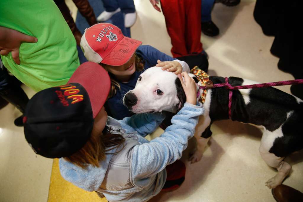 family fun way to adopt a pet
