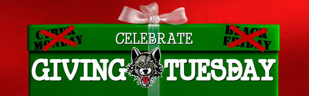 Giving-Tuesday-web-header