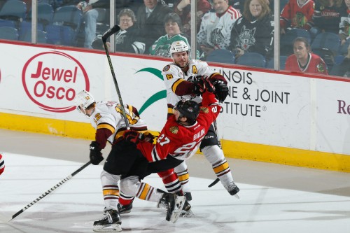 Photo: Ross Dettman/Chicago Wolves