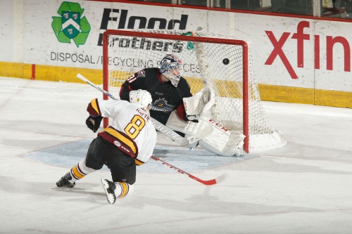 Photo: Ross Dettman/Chicago Wolves