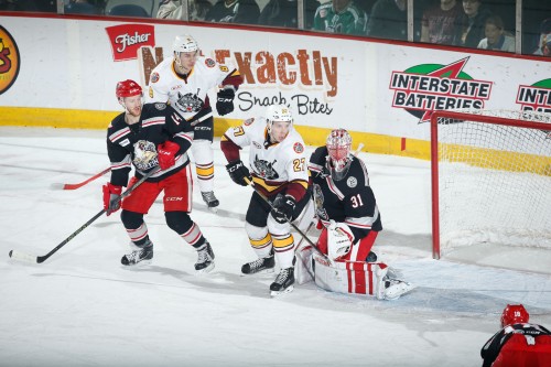 Photo: Ross Dettman/Chicago Wolves
