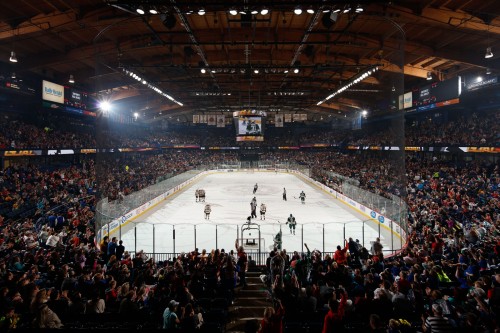 Photo: Ross Dettman/Chicago Wolves