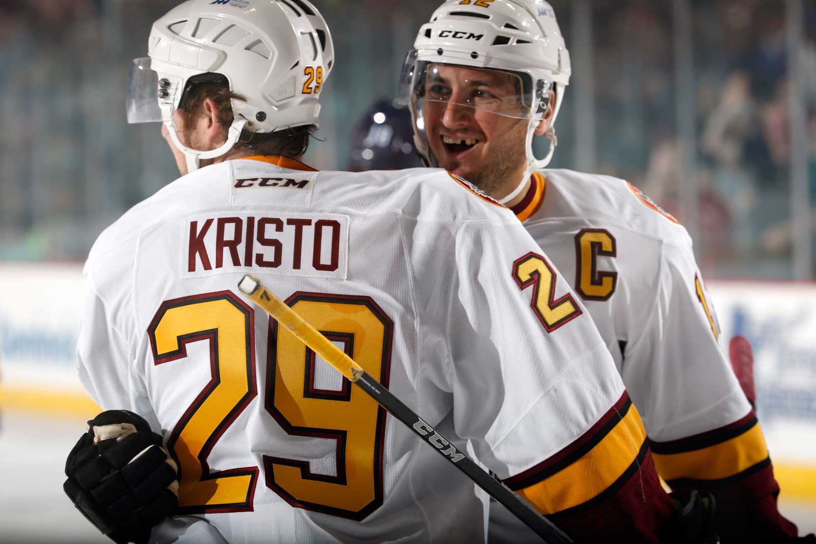 Photo: Ross Dettman/Chicago Wolves