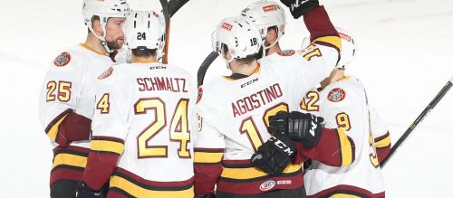 Chicago Wolves Weekly Roundup