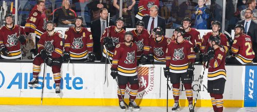 Chicago Wolves Roundup Cover