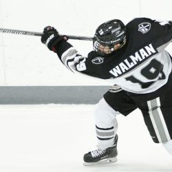 Chicago Wolves Ice Hockey Team Roster - Chicago Wolves