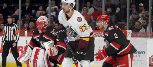 Chicago Wolves Roundup