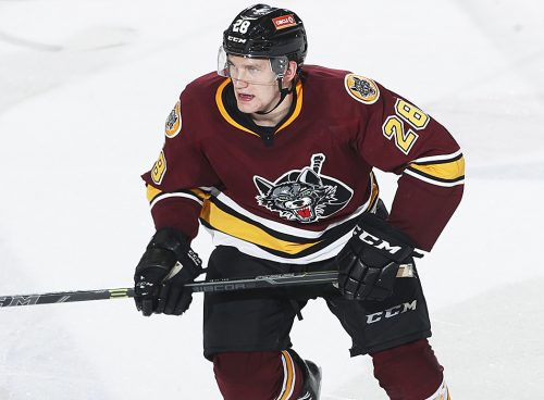 Adam Musil