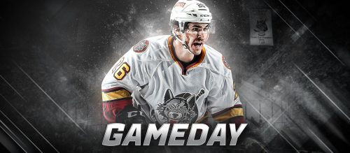 Chicago Wolves Gameday