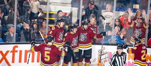 Chicago Wolves Roundup